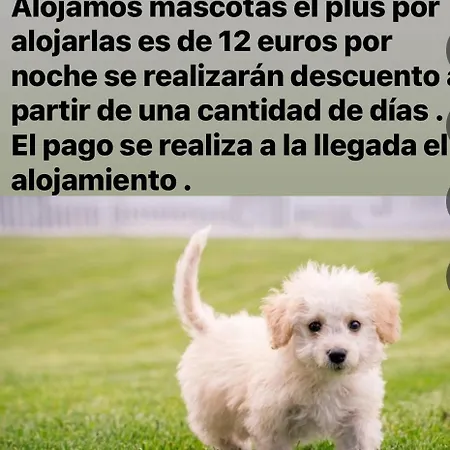 Rondabella1 Parking Gratis Centro Ciudad Apartmán